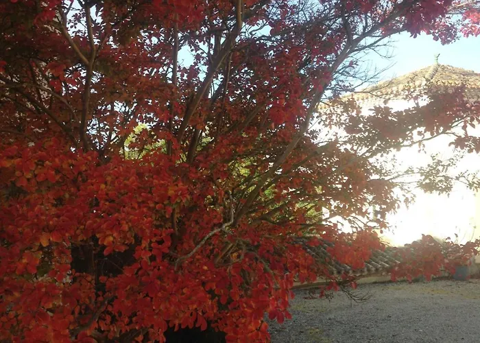 Maison 2 Couchages * Roquecor